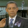 Obama vs Fly (Spanish)