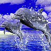 Oceans in the sea puzzle