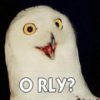 Orly Slider