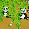 Panda Wild Farm