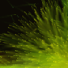 Particle Playground