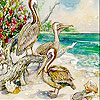 Pelicans on the island slide puzzle