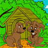 Pet World