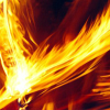 Phoenix feather