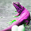 Pink chameleon slide puzzle
