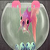 Pink fish on the lantern slide puzzle