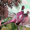 Pink forest birds slide puzzle