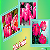 Pink garden tulips puzzle Small Thumbnail