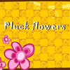PluckFlowers