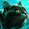Porky black cat slide puzzle