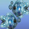 Porky fishes slide puzzle