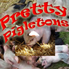Pretty Pigletons