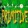 Primitive Survival