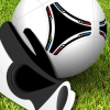 Professional Goalkeeper: Euro 2012