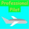 professional pilot