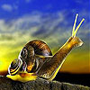 Prying snail slide puzzle