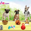 Puppies Meal Time