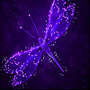 Purple dragonfly slide puzzle