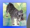 Put Your Pet In a Puzzle