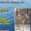 Puzzle Mania v2 - Zebra