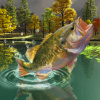 Puzzles :  Big fish