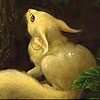 Rabbit lost in the woods puzzle