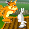 Rabbit rescue