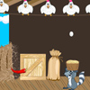 Raccoon and chicken
