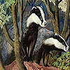Raccoons in the forest slide puzzle