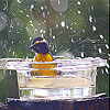 Rain and bird slide puzzle