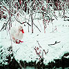 Red billed duck slide puzzle