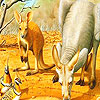 Red kangaroos and birds puzzle