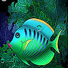 Red lipped sea fish slide puzzle