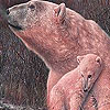 Red polar bears puzzle