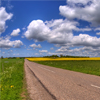 Roadside