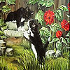 Roses and cats slide puzzle