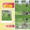 Row Puzzle - Donkey