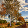 Russian Road
