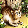 Scared cat slide puzzle