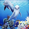 Sea and dolphins puzzle