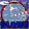 sea match