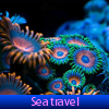 Sea travel. Find objects