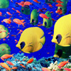 seabed world jigsaw puzzle