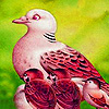 Seagull family slide puzzle
