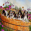 Septuplets puzzle