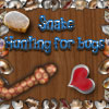 Shake-Hunting for bugs