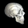 Skull-Ball