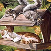 Sleepy cat and friends puzzle