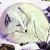 Sleepy white fox puzzle