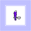 Slime & Hermit crab